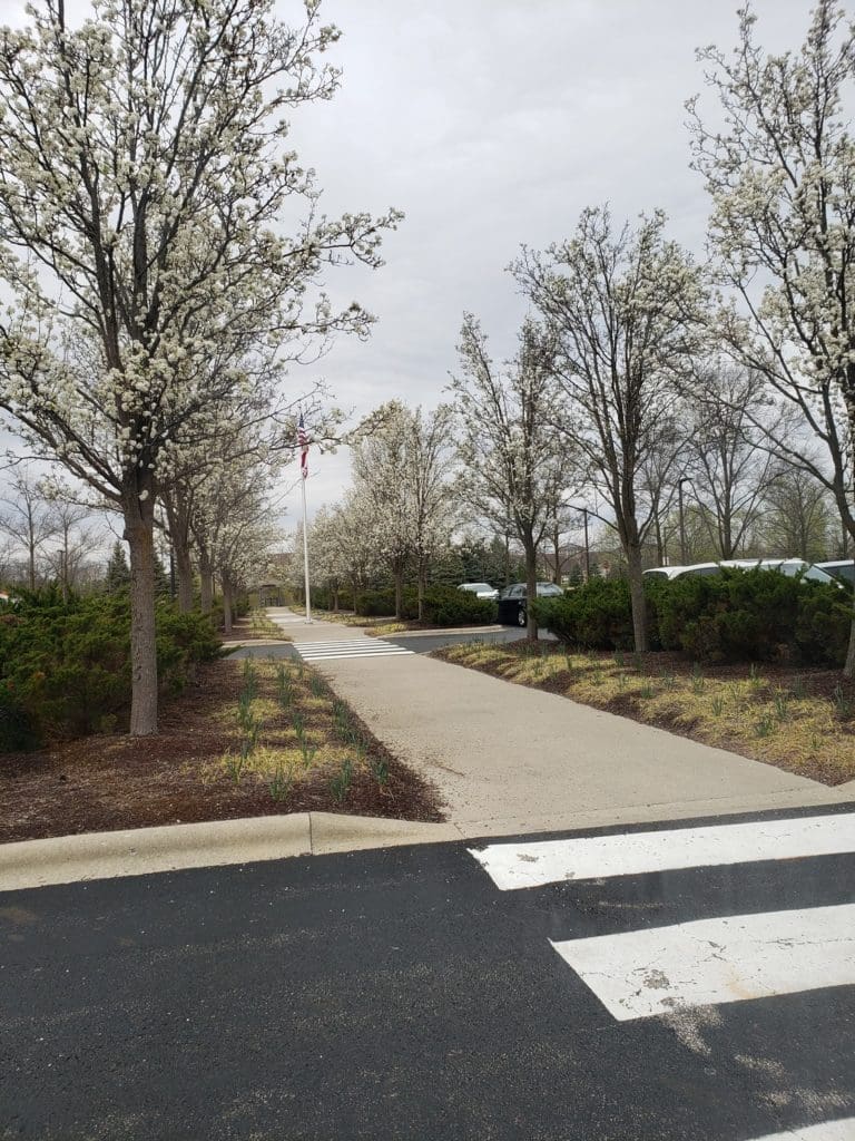 Anxiety and depression therapy near me gets you different results in different locations