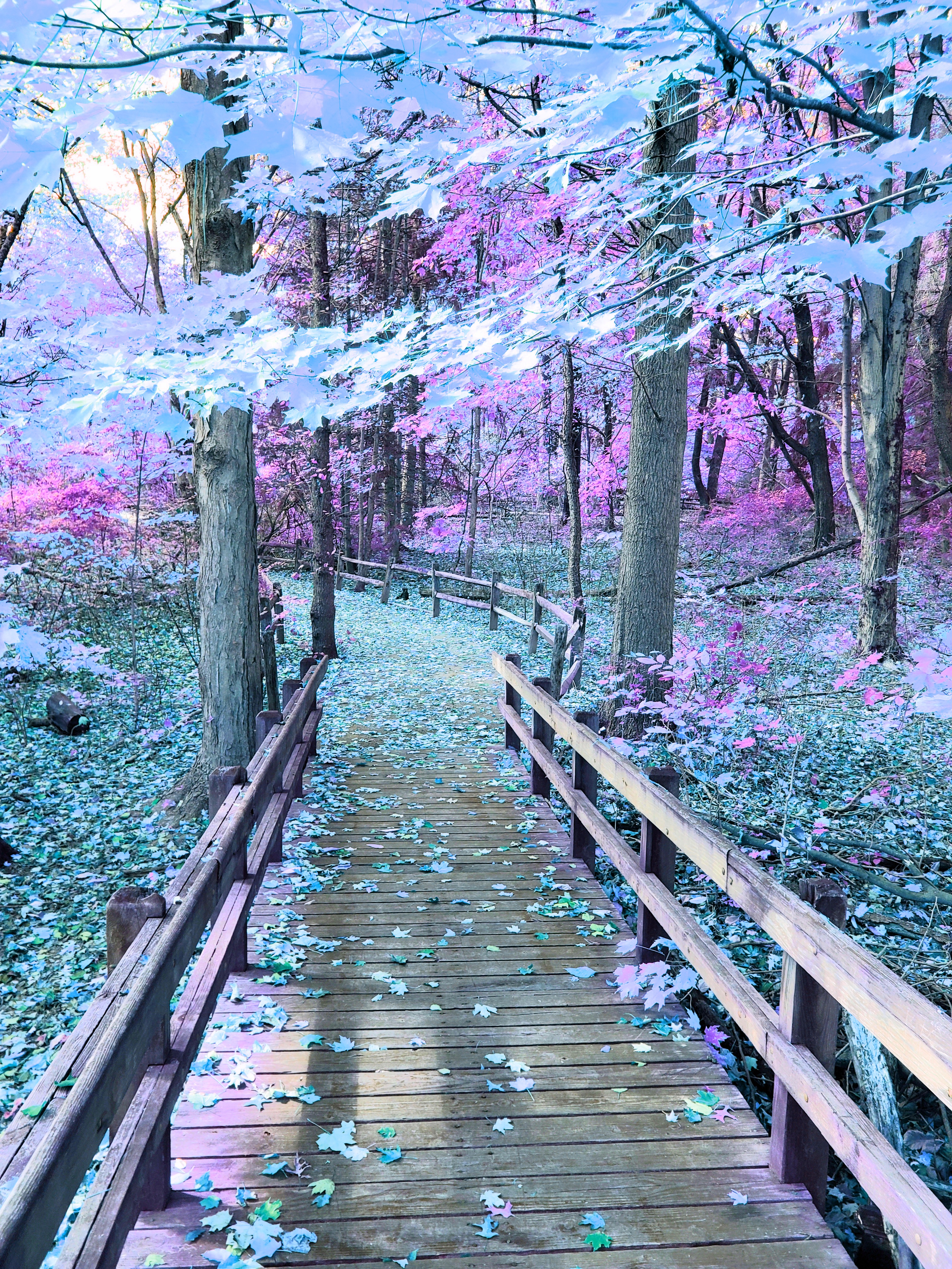 Psychedelic-Assisted Therapy